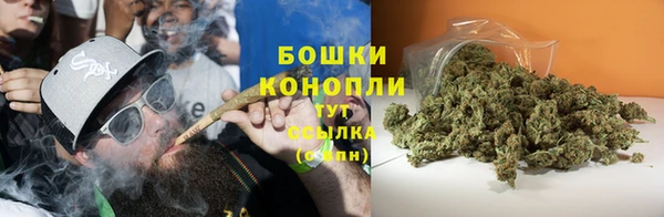 соль ск Бронницы