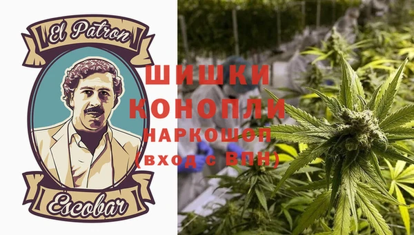 спайс Верея