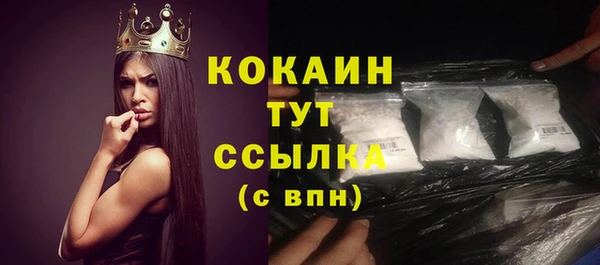 гидра Бородино