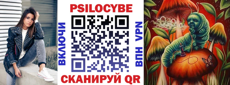 купить  цена  Вязники  Галлюциногенные грибы MAGIC MUSHROOMS 