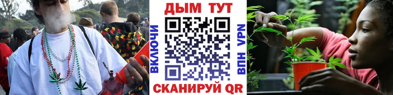 как найти   Вязники  Шишки марихуана OG Kush 